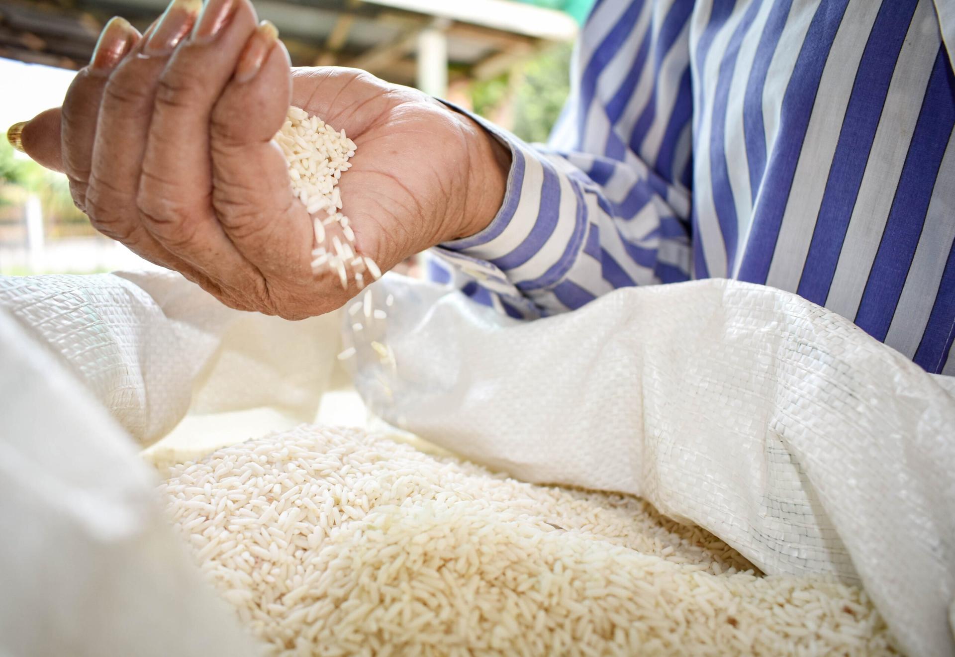 harga beras 3 oktober