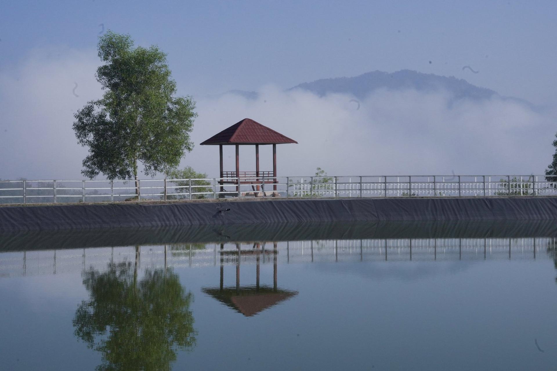 Coca-Cola Foundation