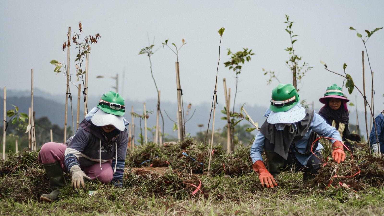 EIGER Adventure Land