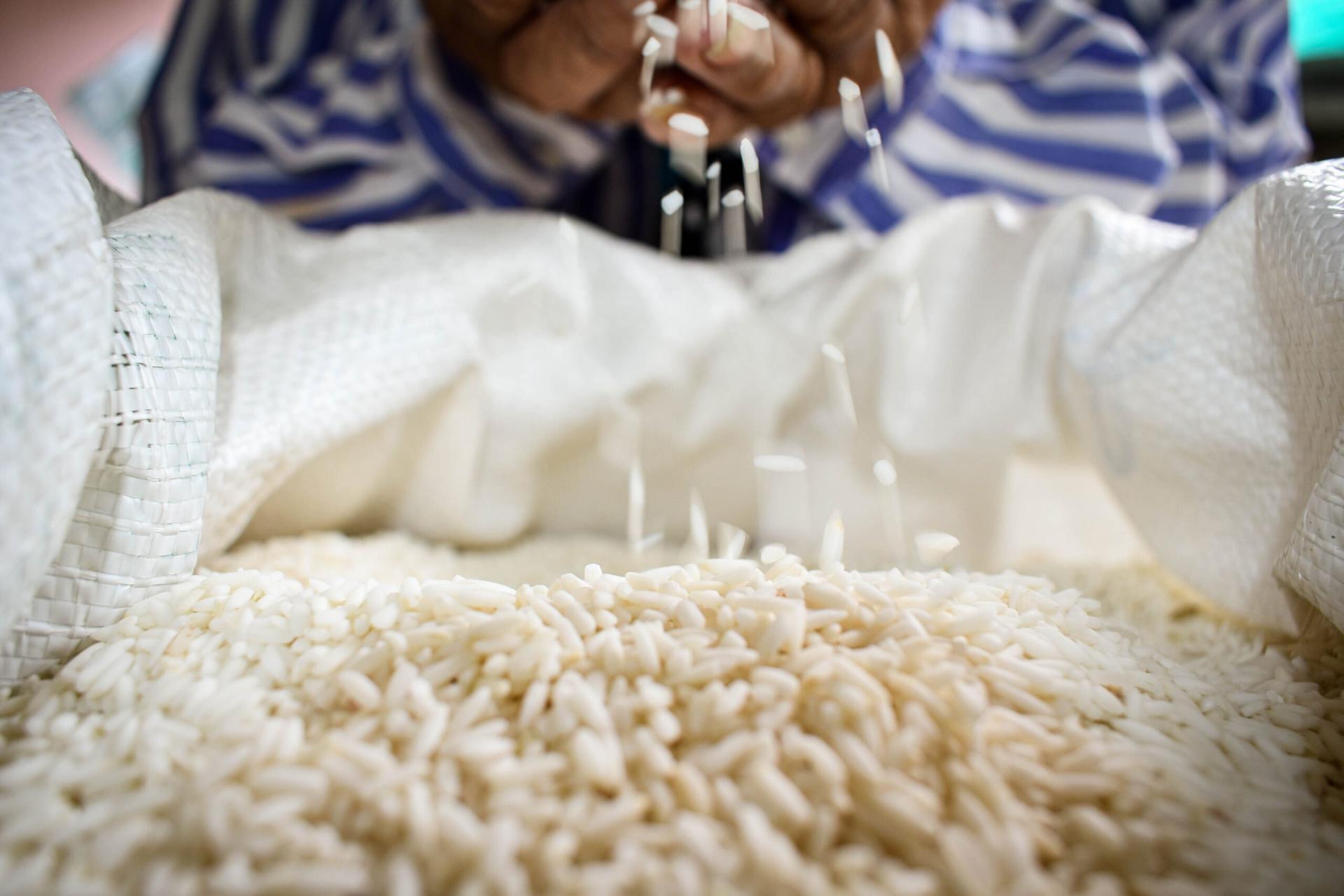 harga beras 1 oktober