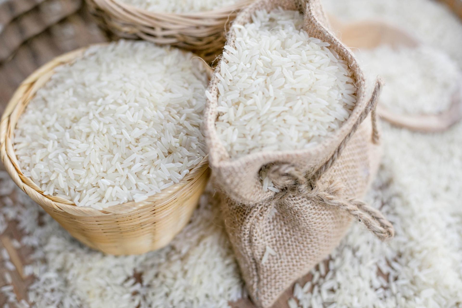 Harga beras 24 september