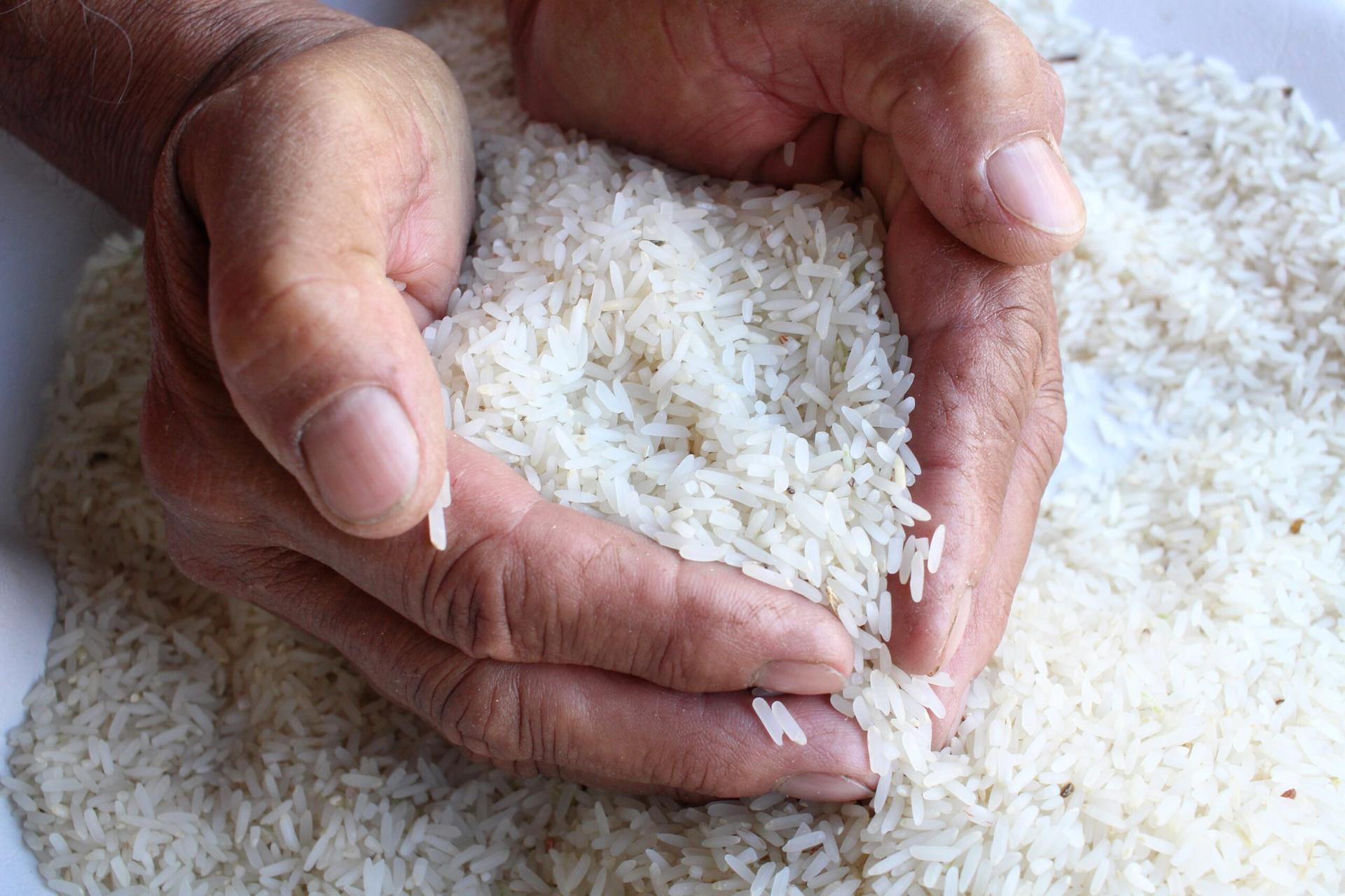 harga beras 29 agustus