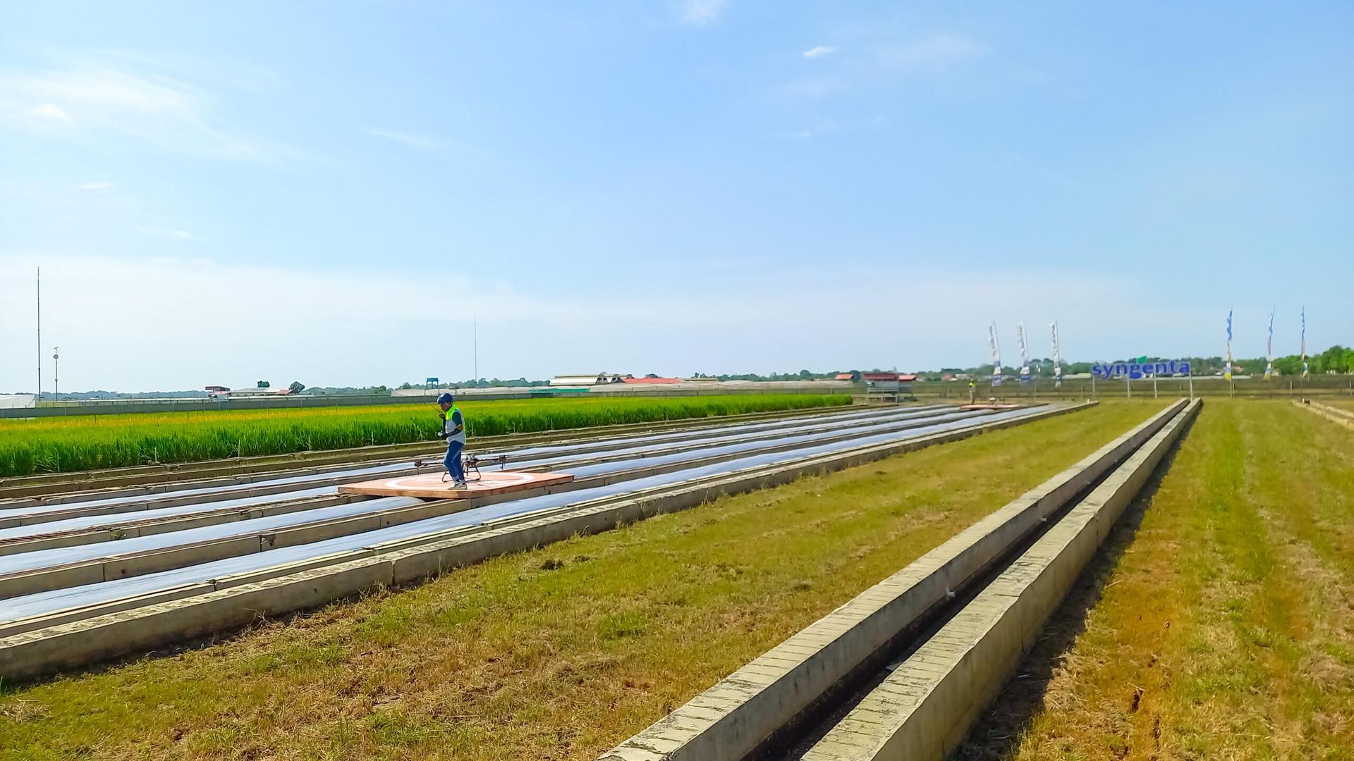 Syngenta Indonesia Pertanian