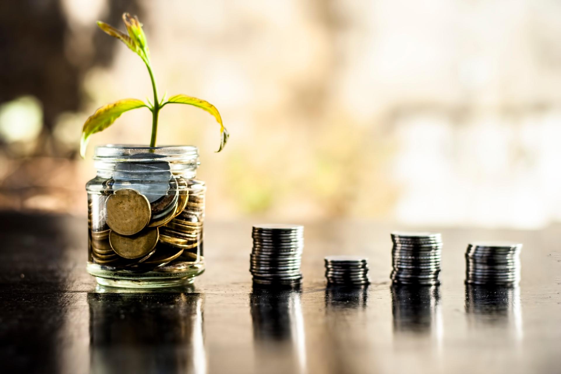 reksa dana penyertaan terbatas