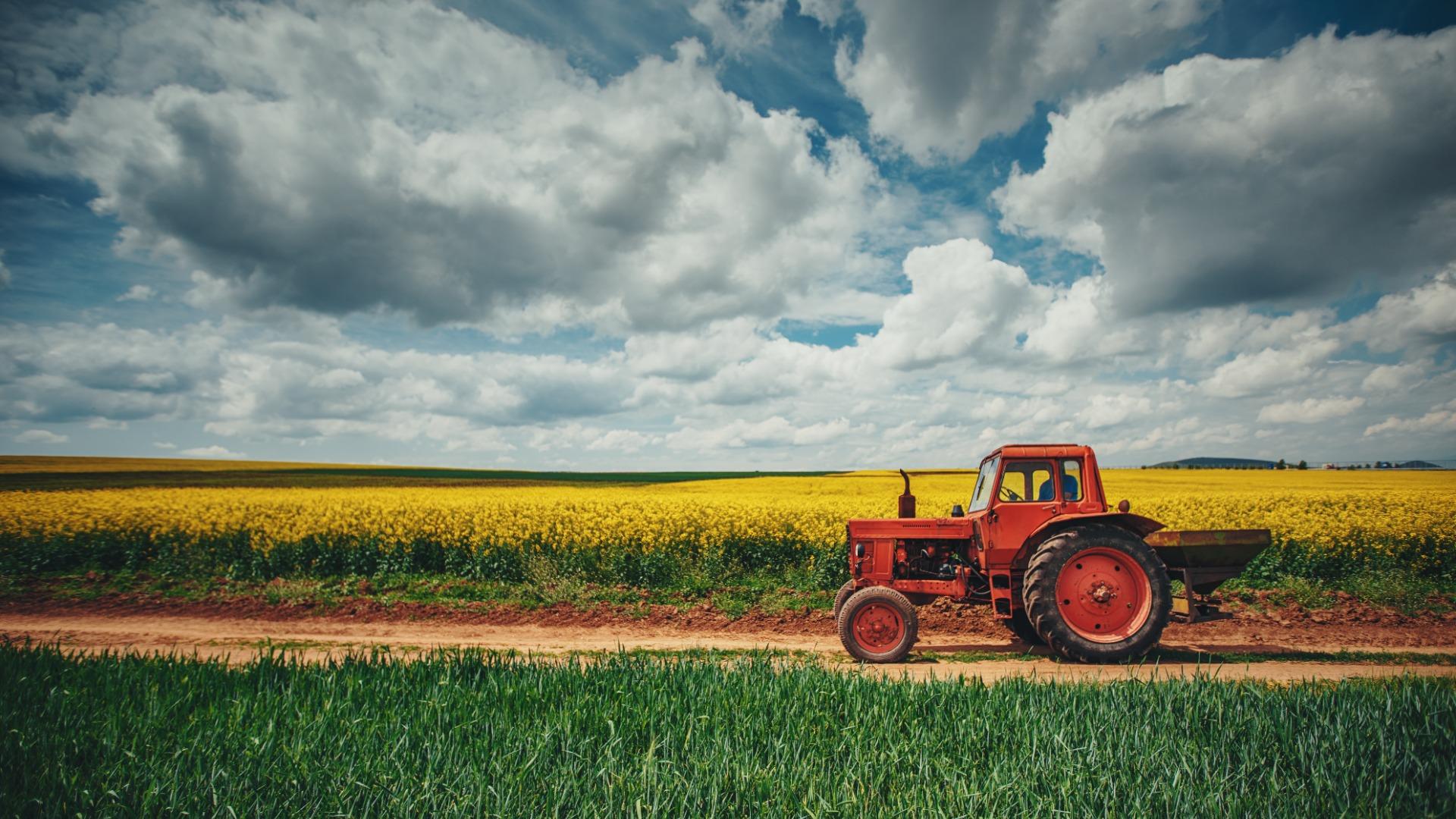 Modernisasi Pertanian Jadi Kunci Tingkatkan Kontribusi Pertanian kepada Ekonomi Negara