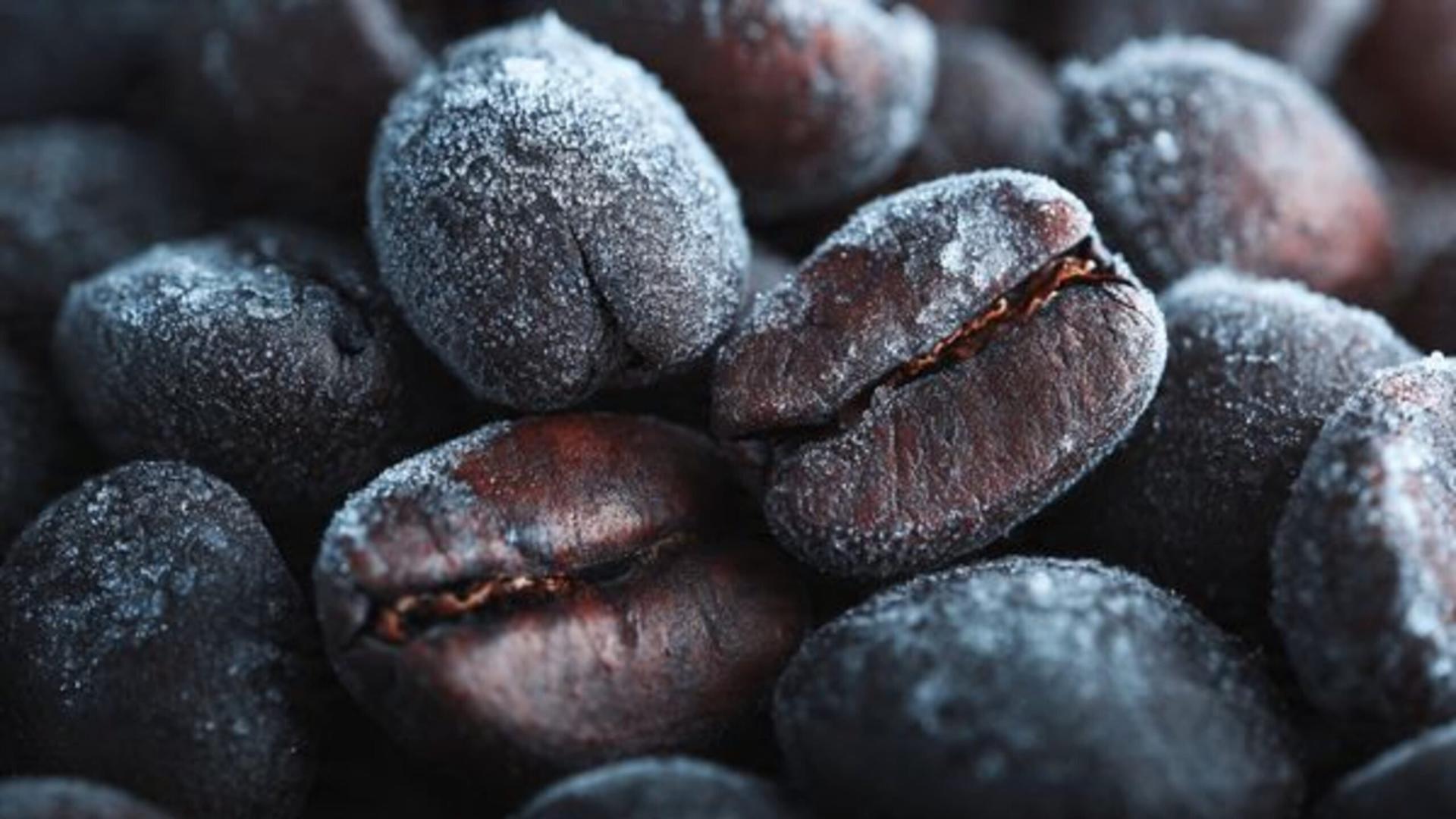 biji kopi di freezer