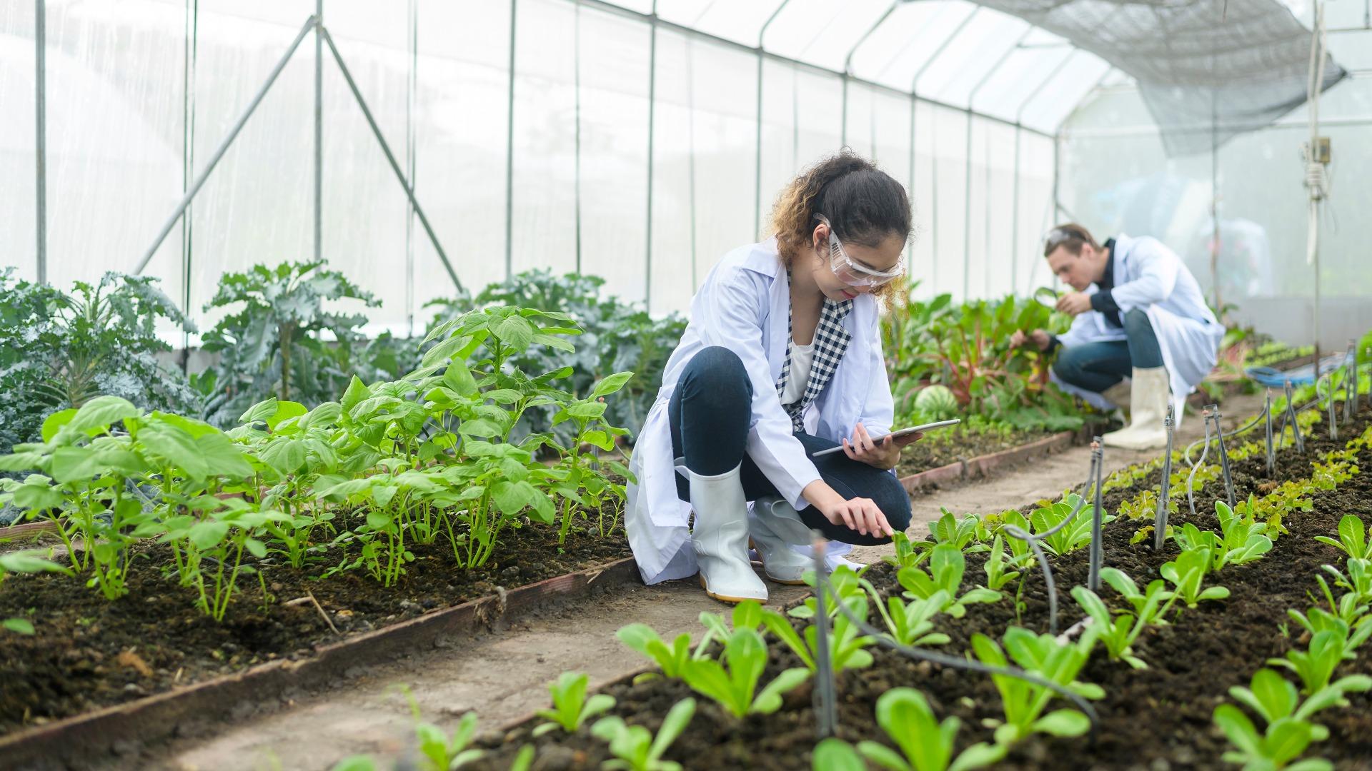 teknologi pangan adalah