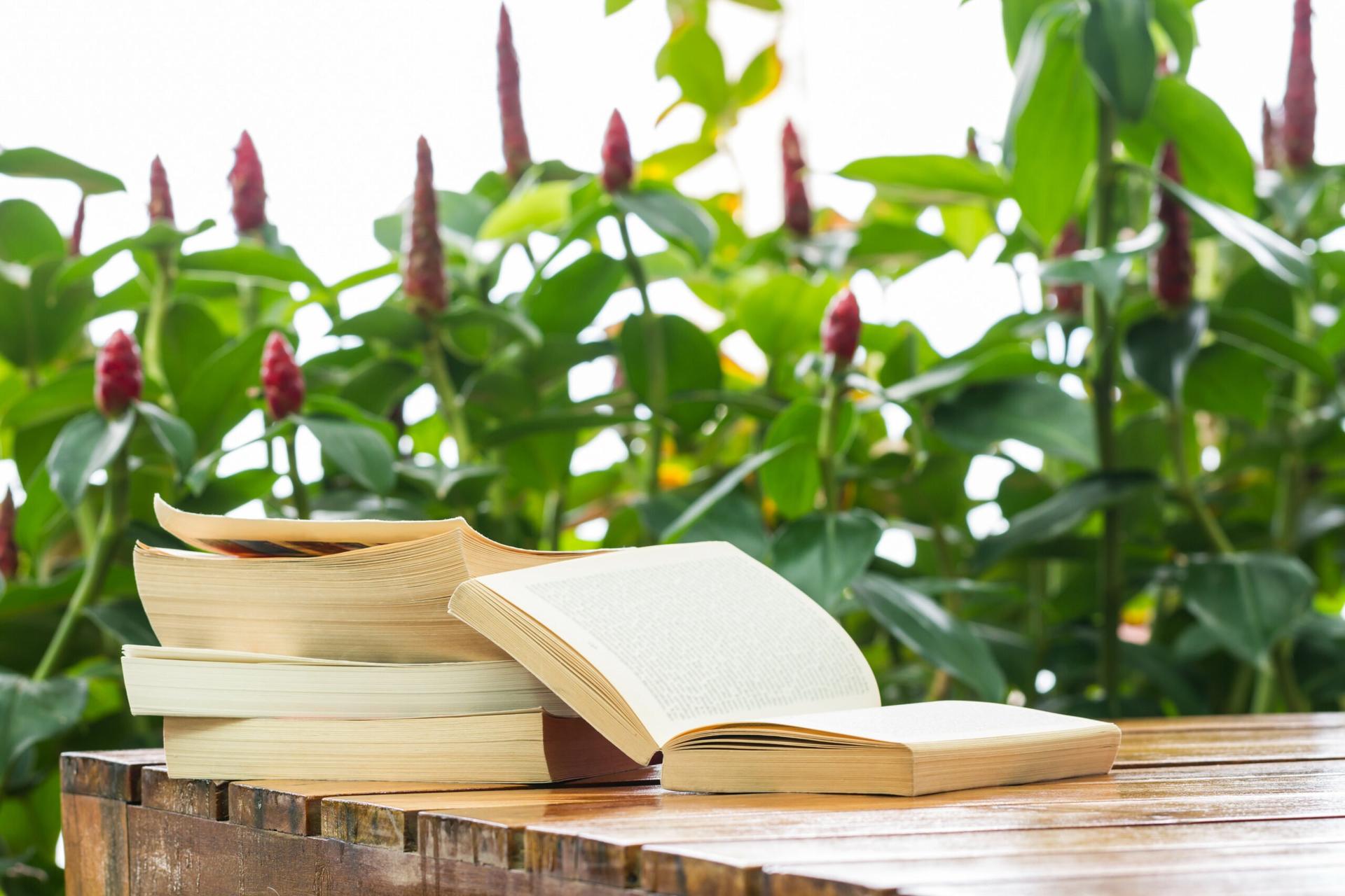 buku self improvement