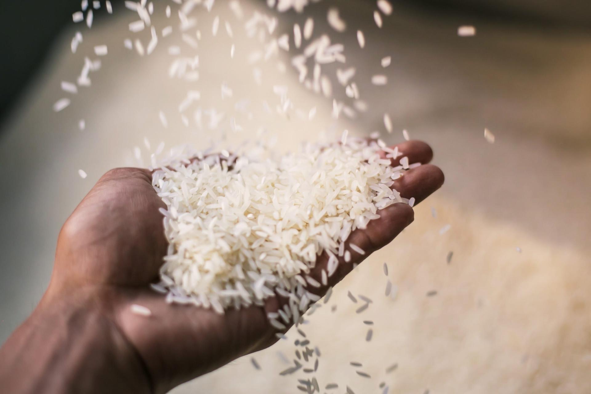 Harga beras 25 september