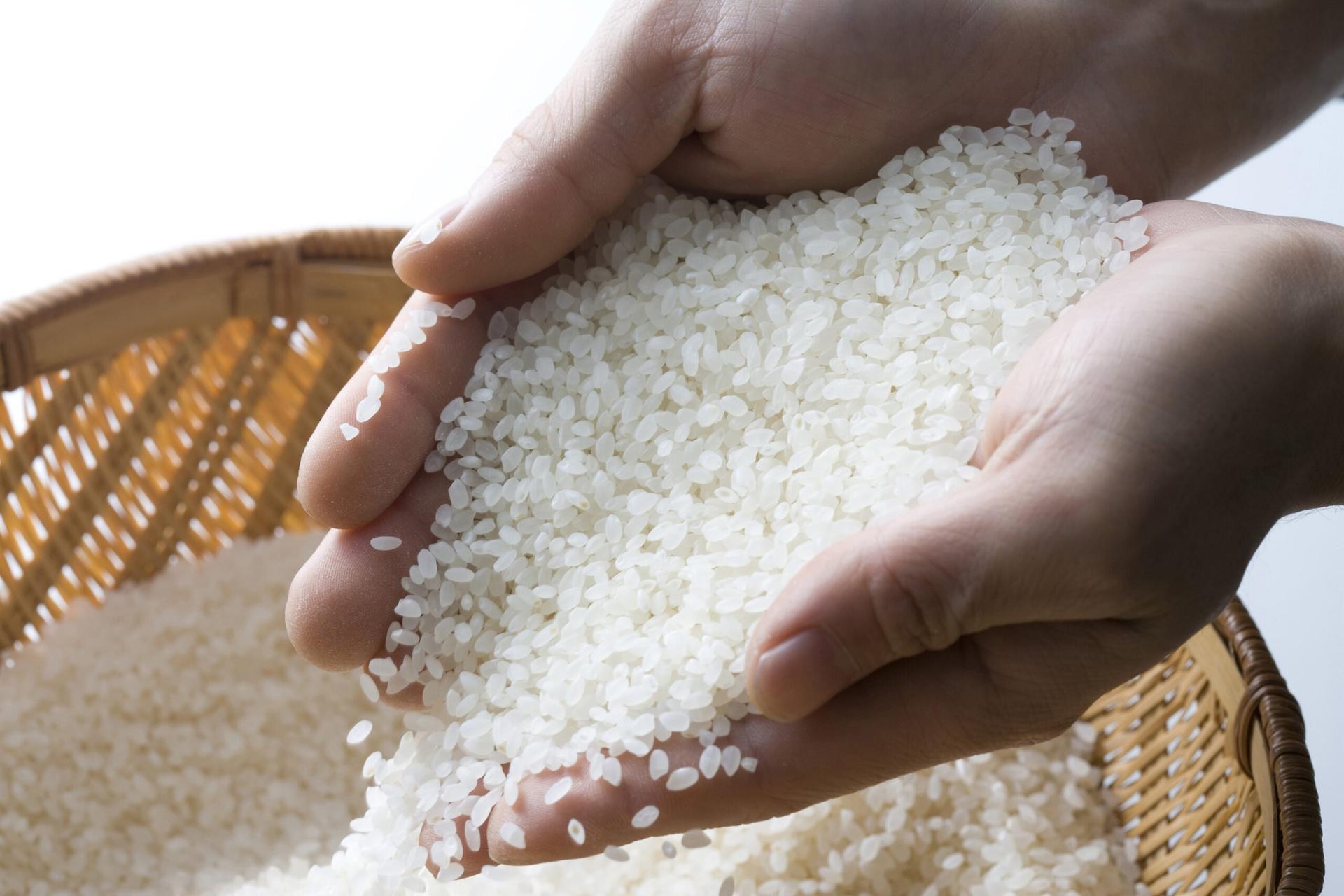 harga beras 7 agustus