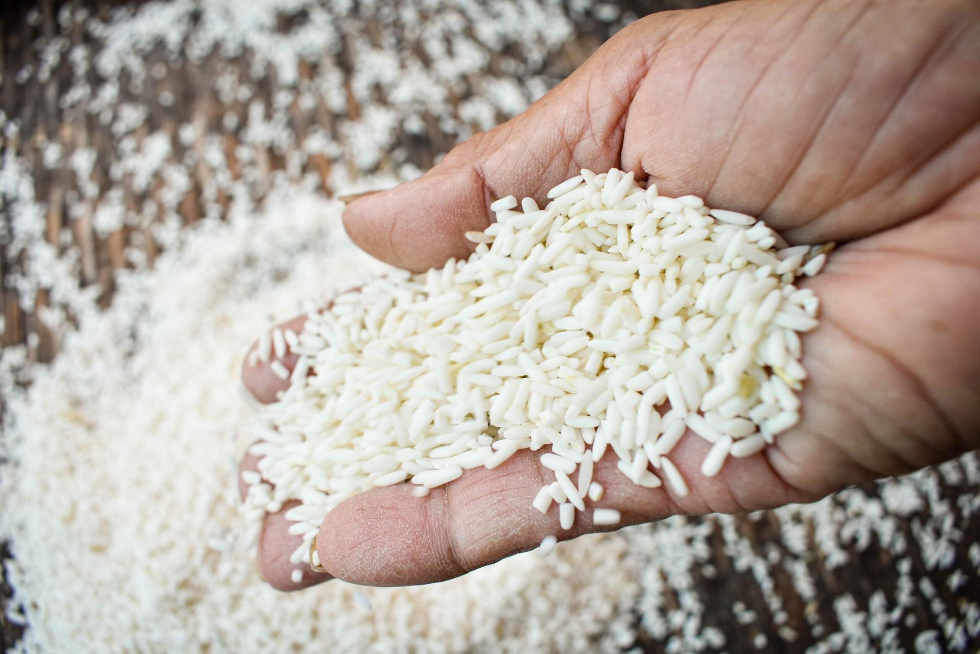 harga beras 15 agustus