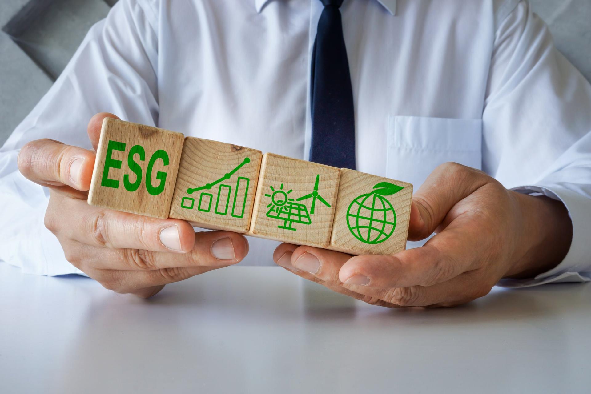 sustainable business