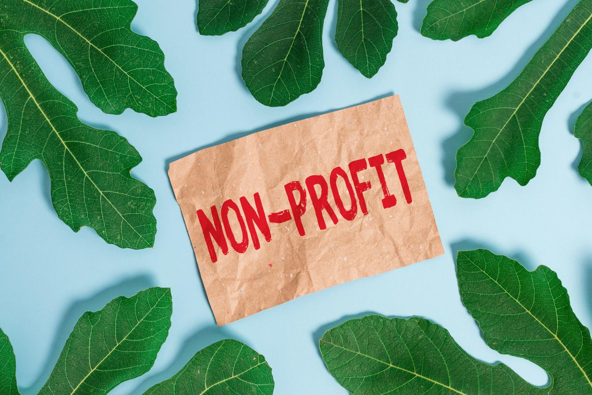 nonprofit marketing