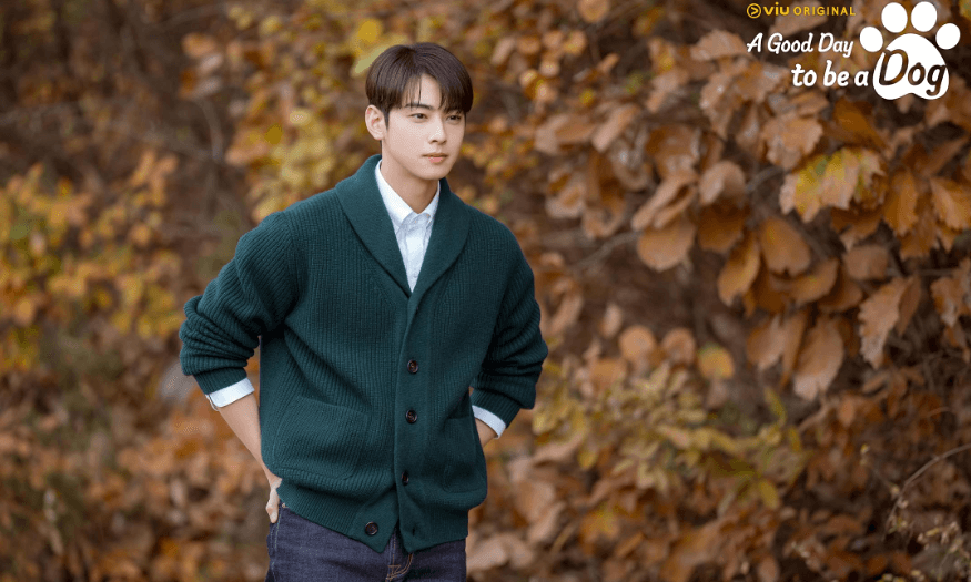 A Good Day to Be a Dog