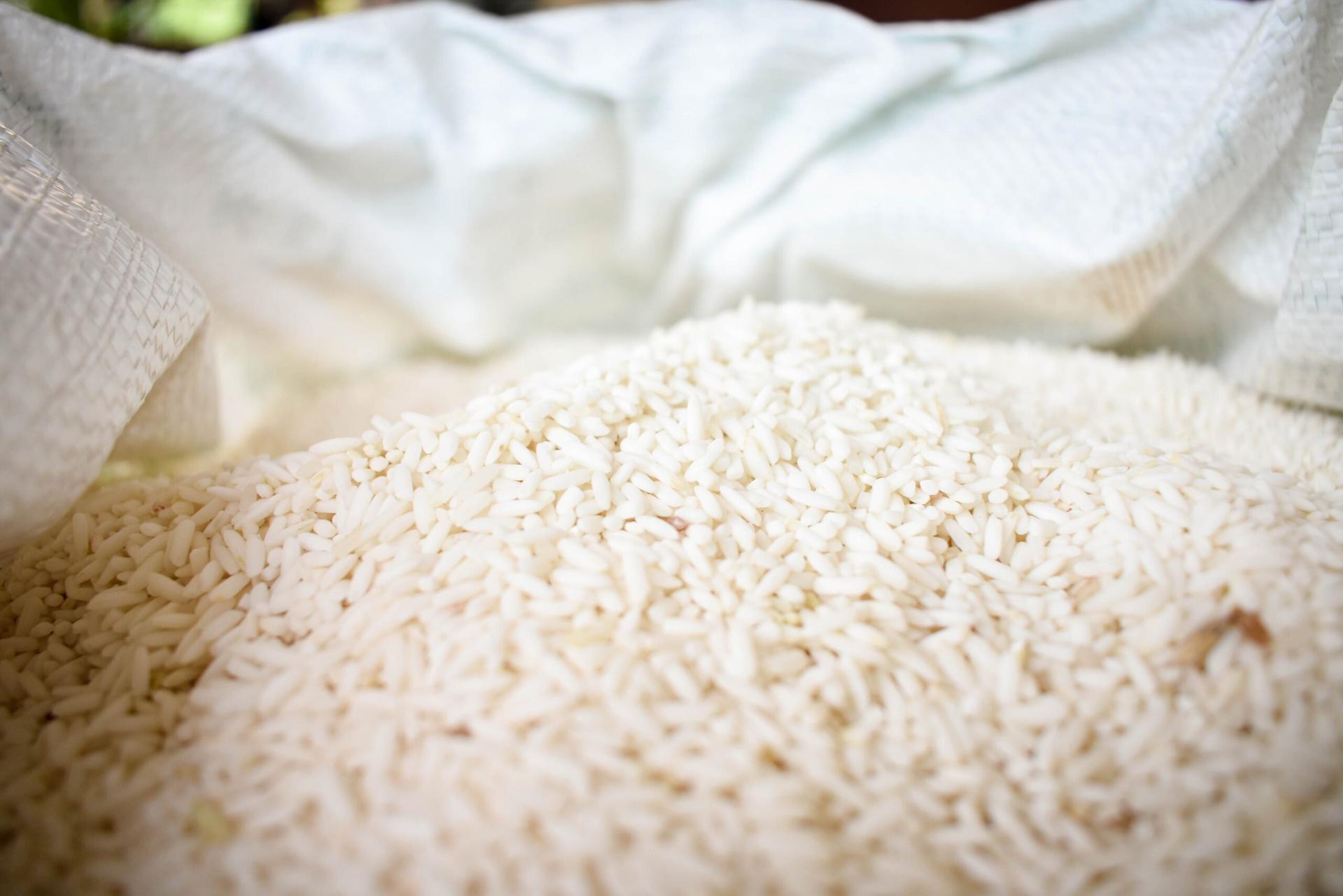 harga beras 11 september