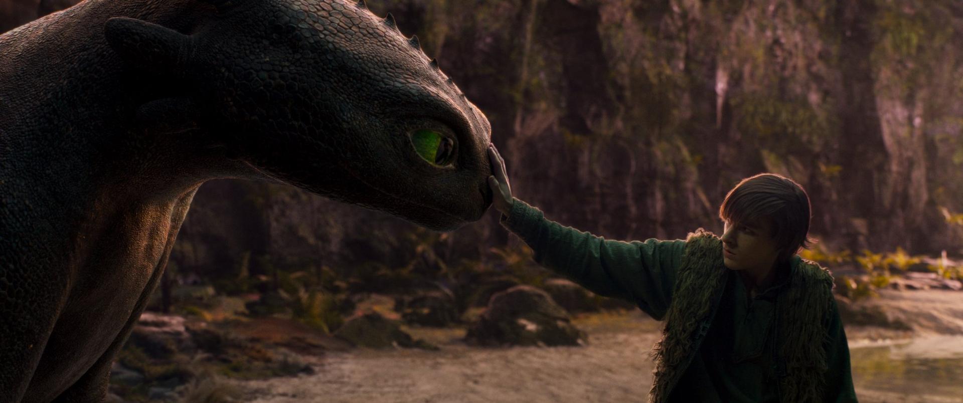 How to Train Your Dragon