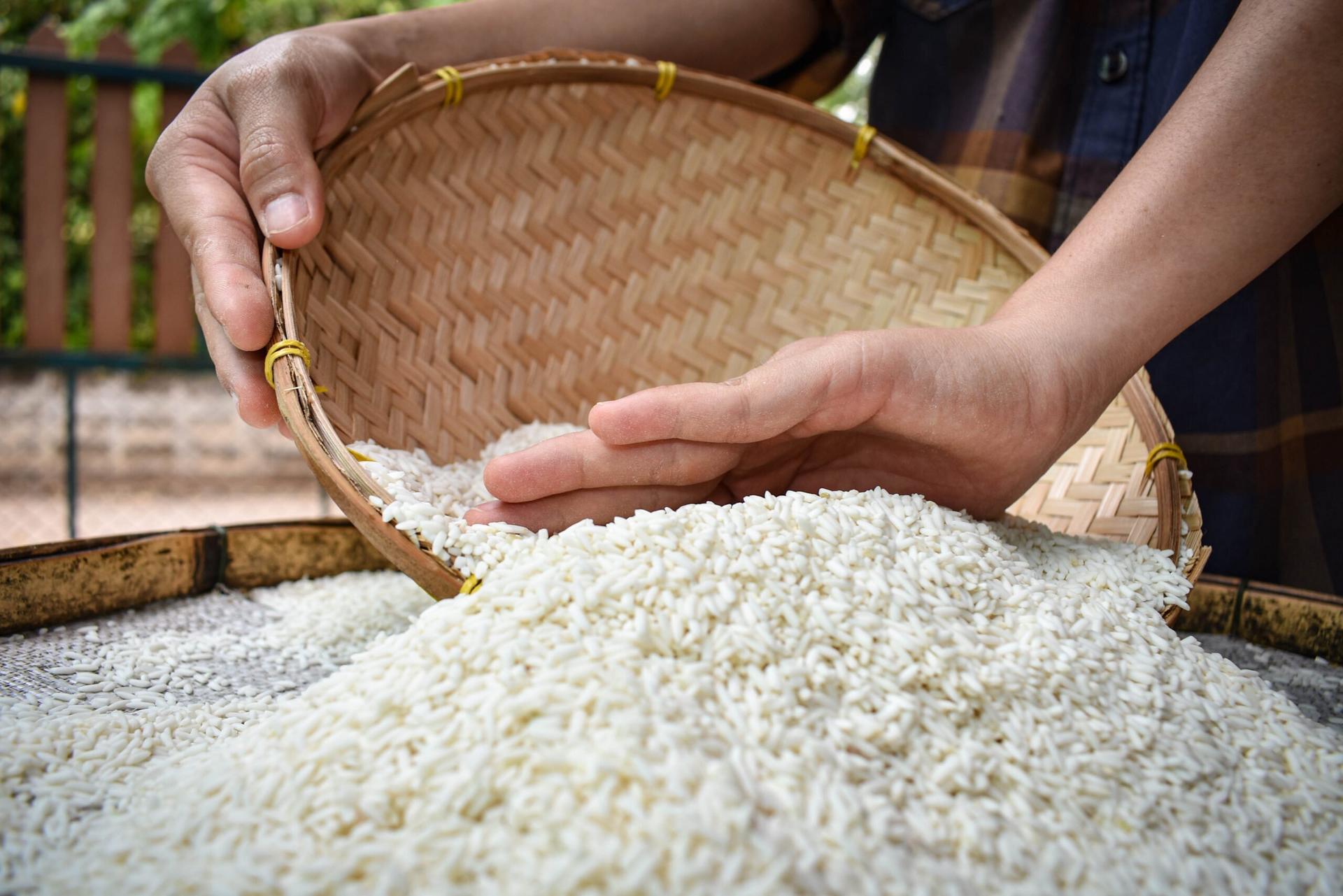 harga beras 4 agustus