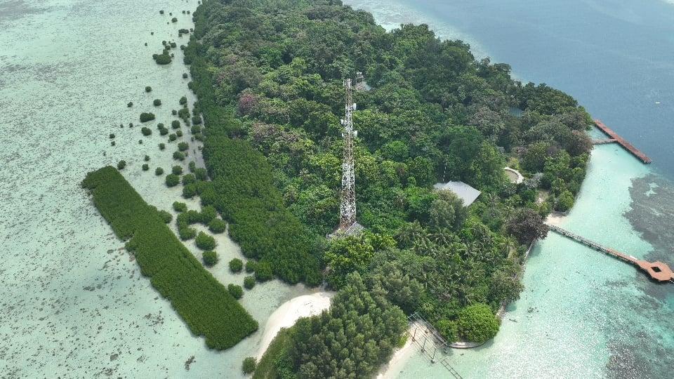Telkomsel Genap 31 Tahun, Dari Pelopor Kartu Prabayar hingga Jadi Raksasa Digital Indonesia