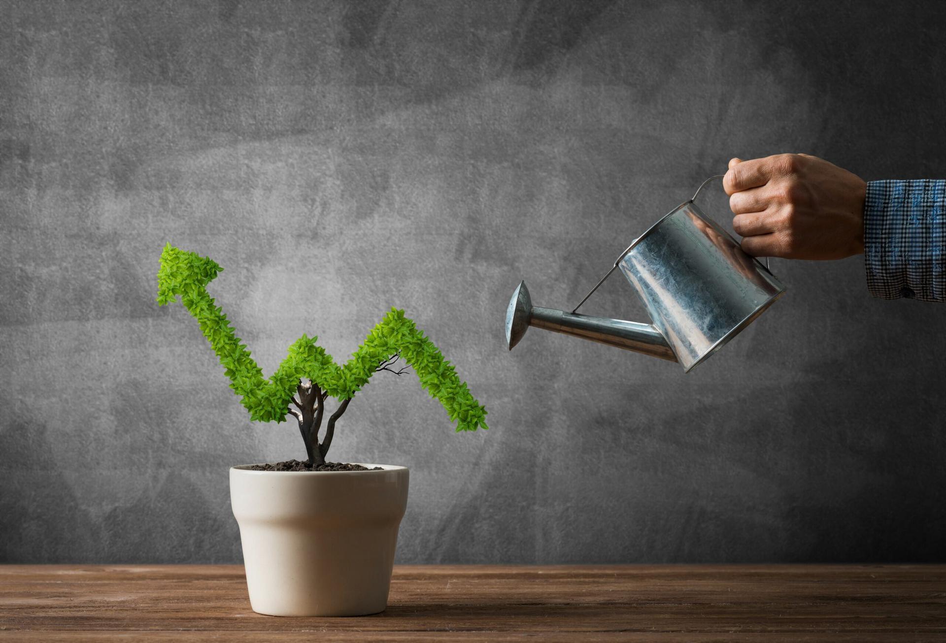 growth marketing strategy