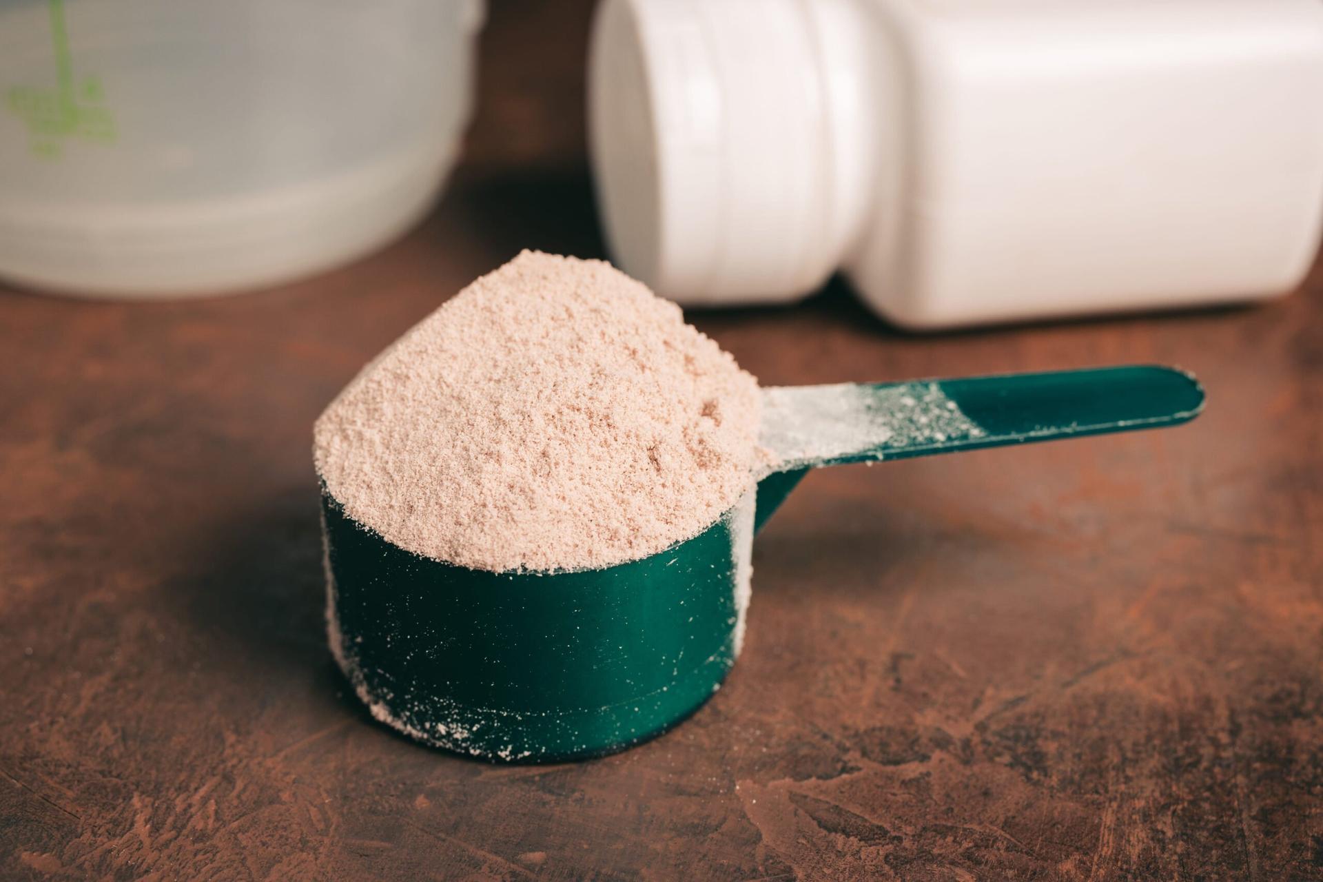 protein powder
