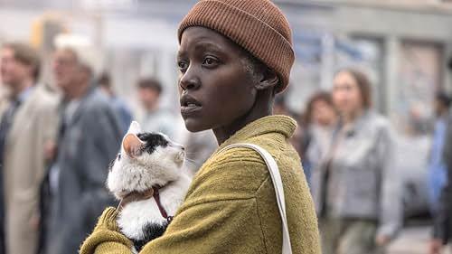 kucing a quiet place: day one