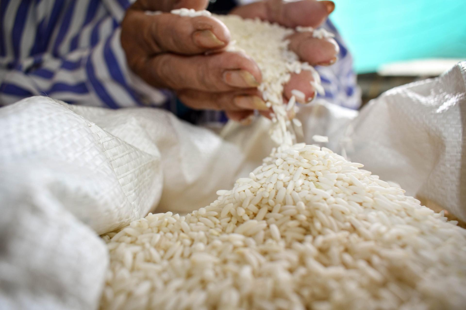 harga beras 12 agustus