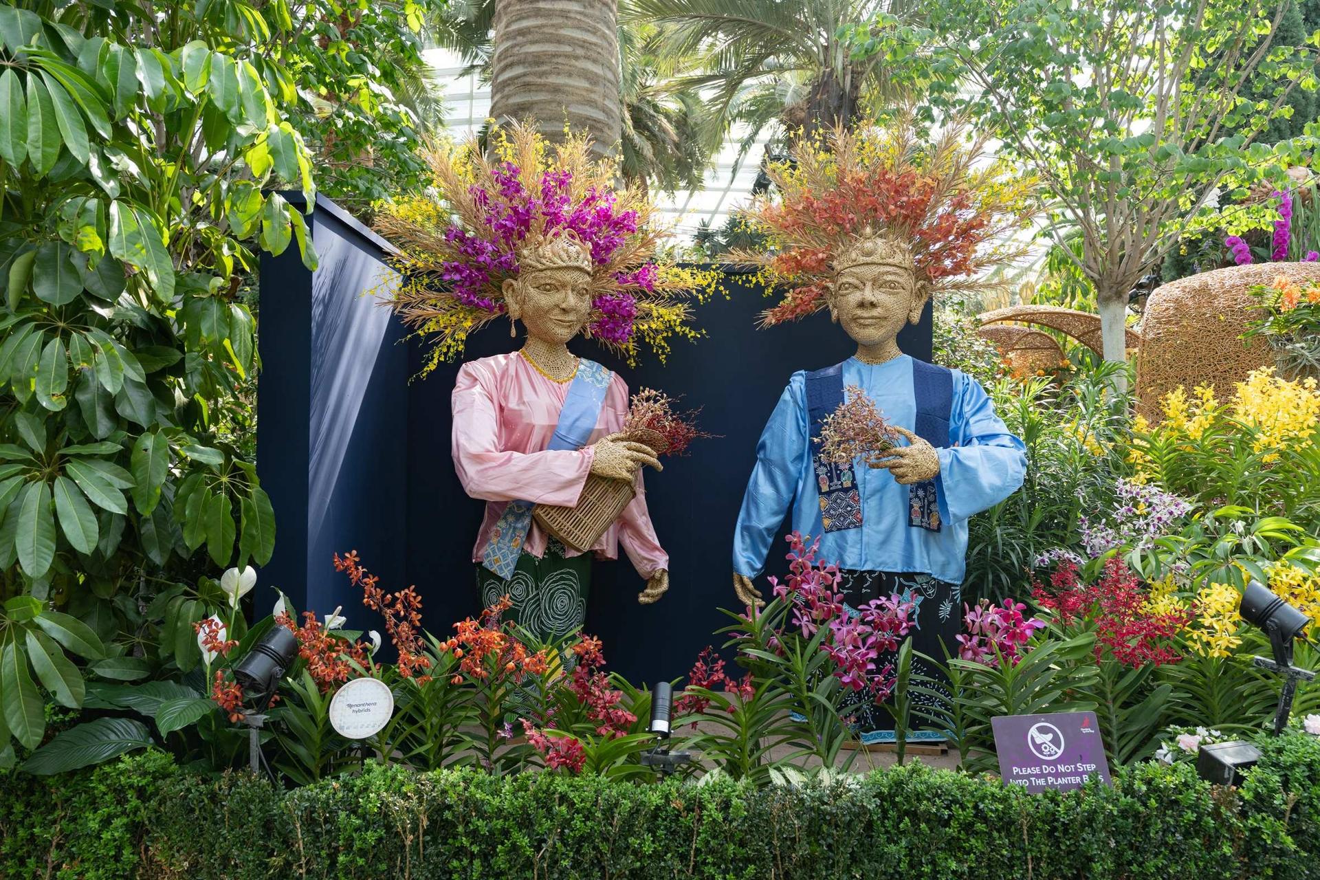 Orchid Extravaganza