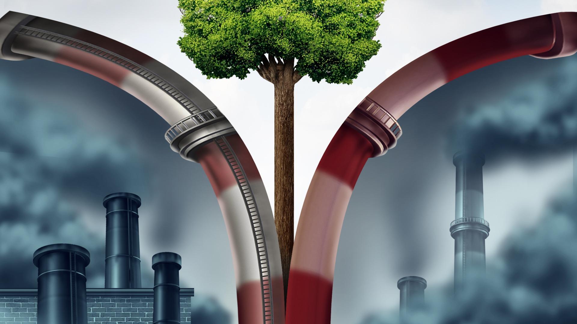 kalkulator jejak karbon