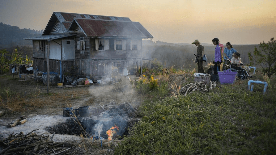 The Paradies of Thorns