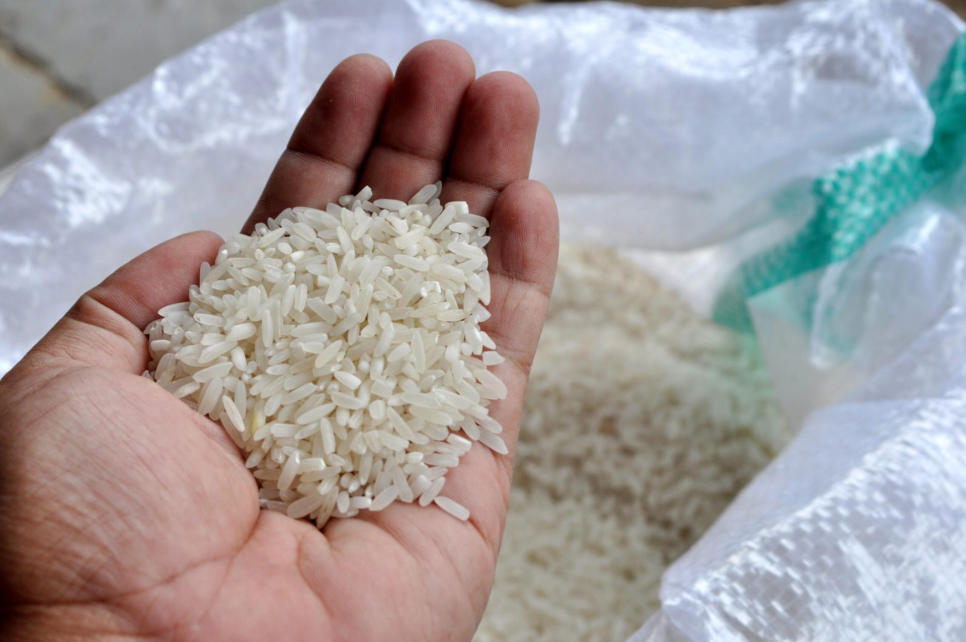 harga beras 14 agustus