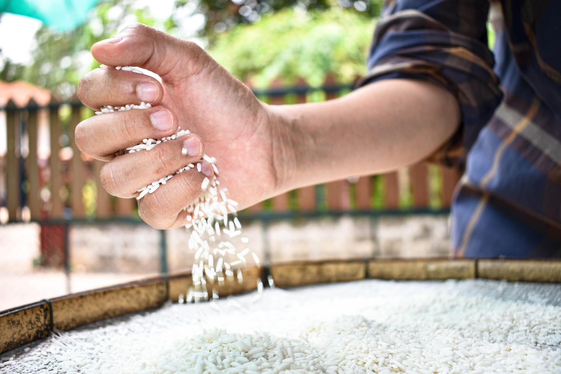 harga beras 23 september