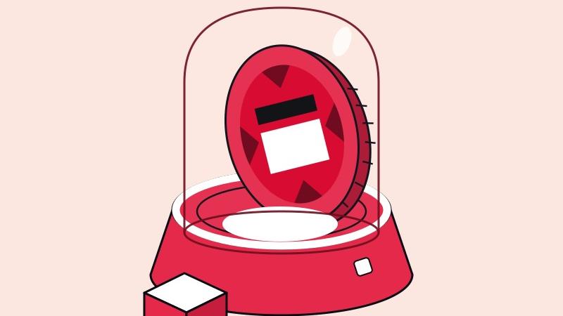 Pintu