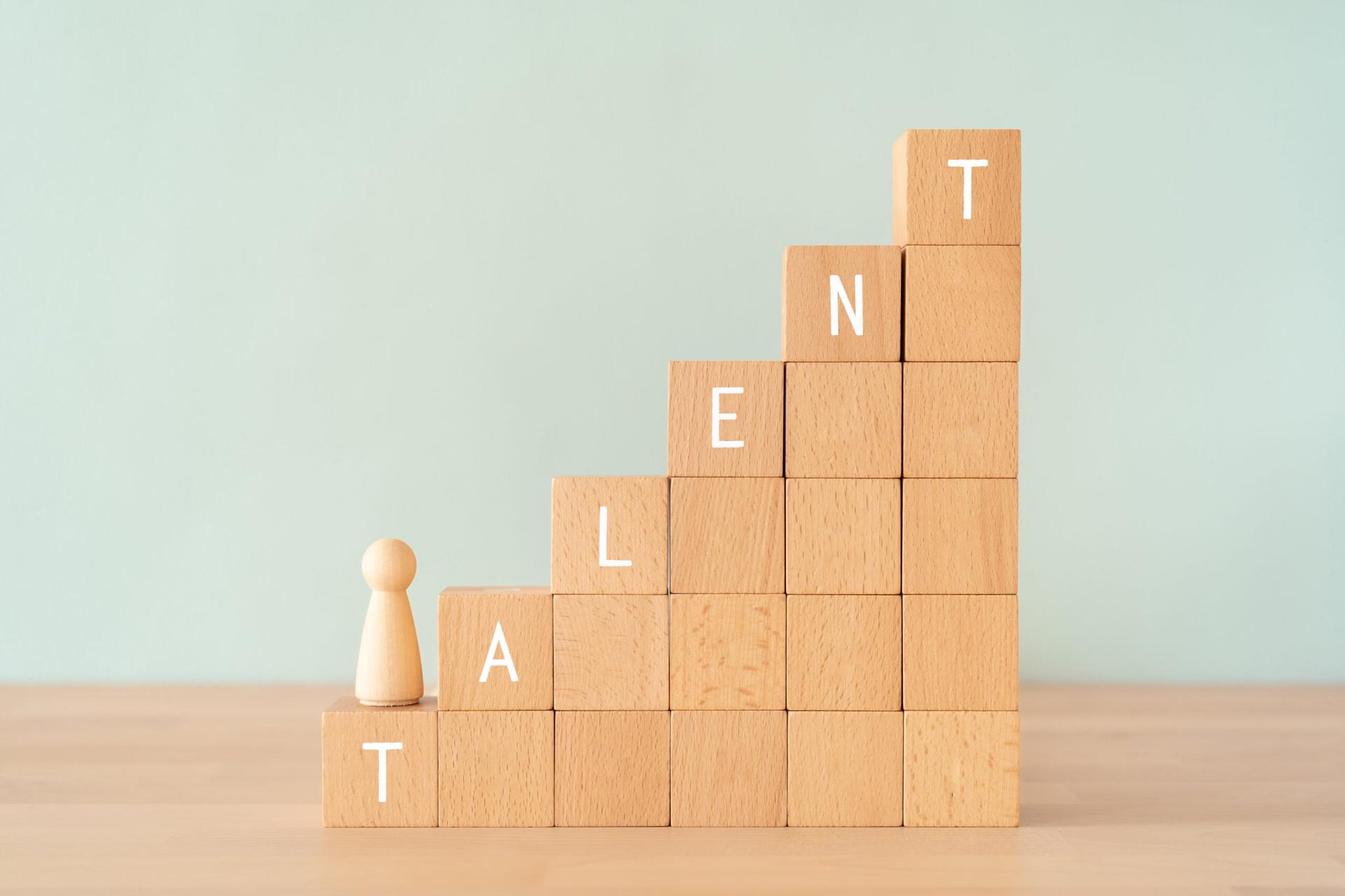 pengembangan talenta