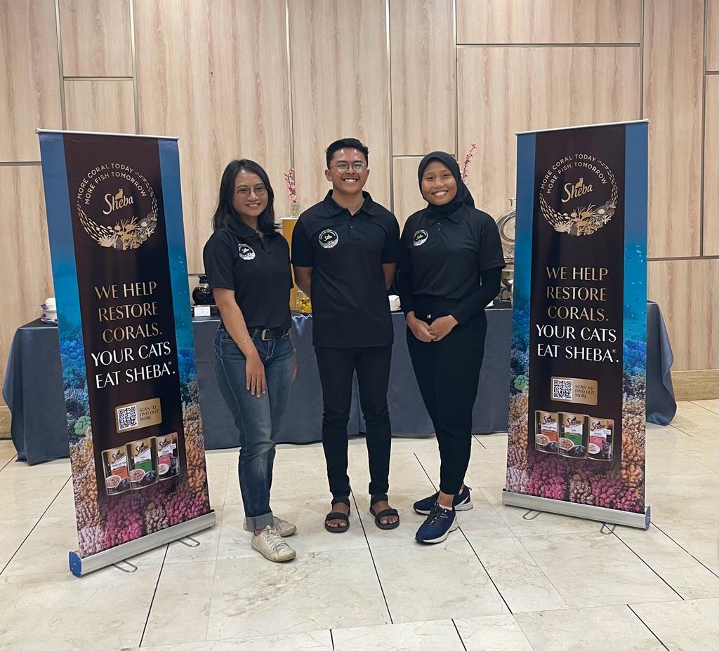 restorasi terumbu karang terbesar di dunia