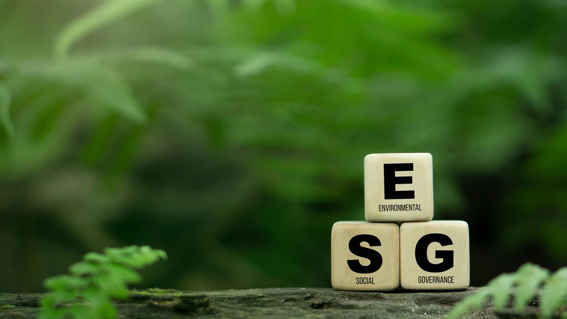 ESG