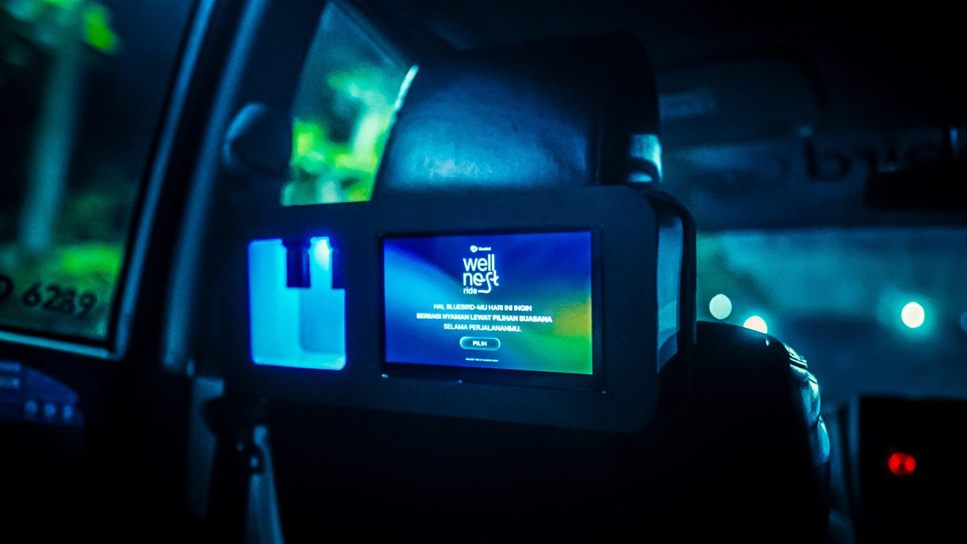 Bluebird Wellnest Ride