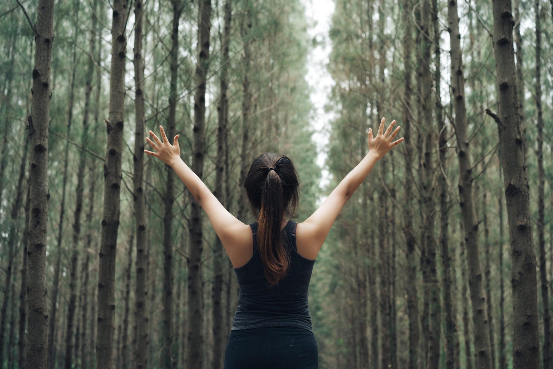 forest bathing
