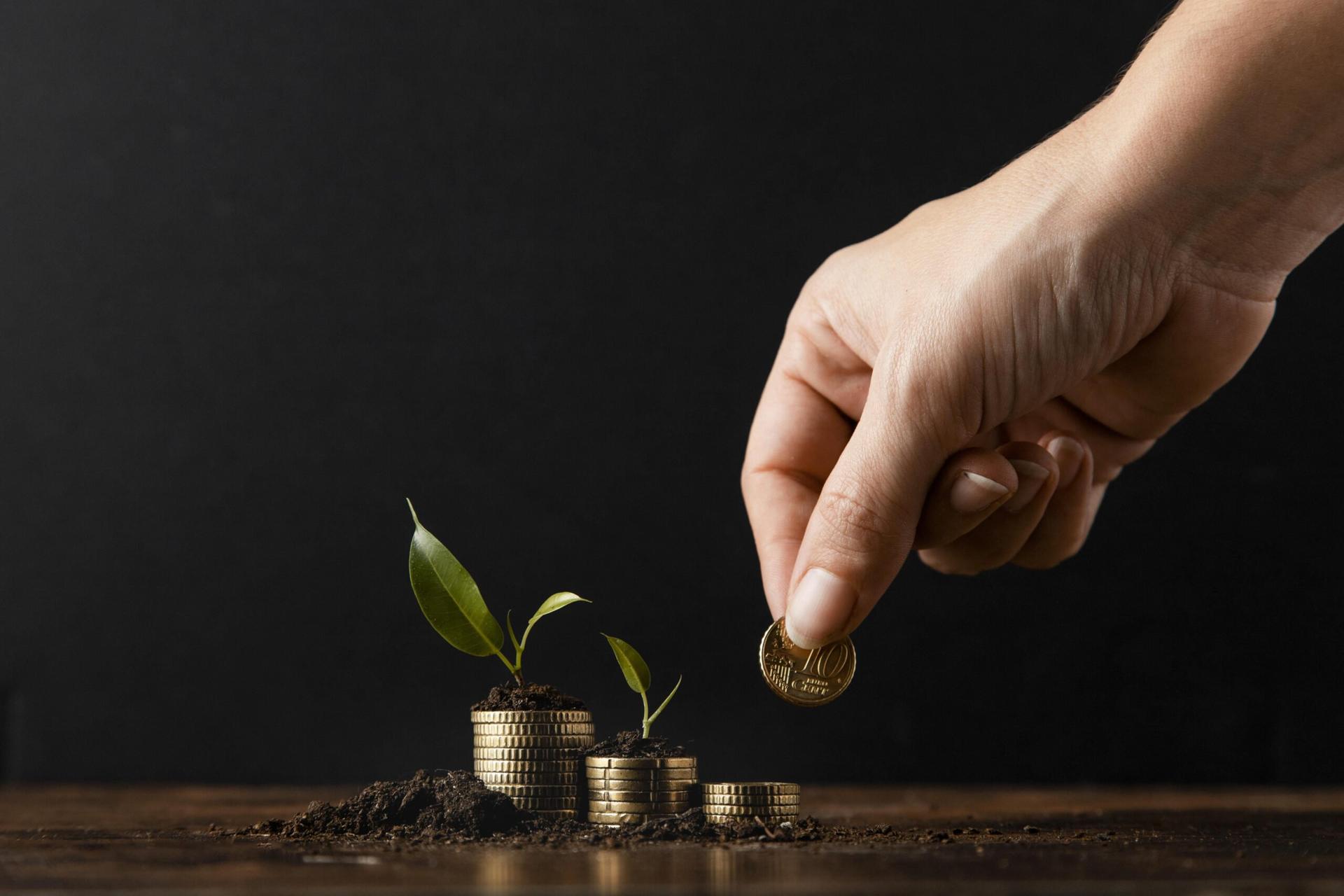 Bisnis tanpa Modal Investor