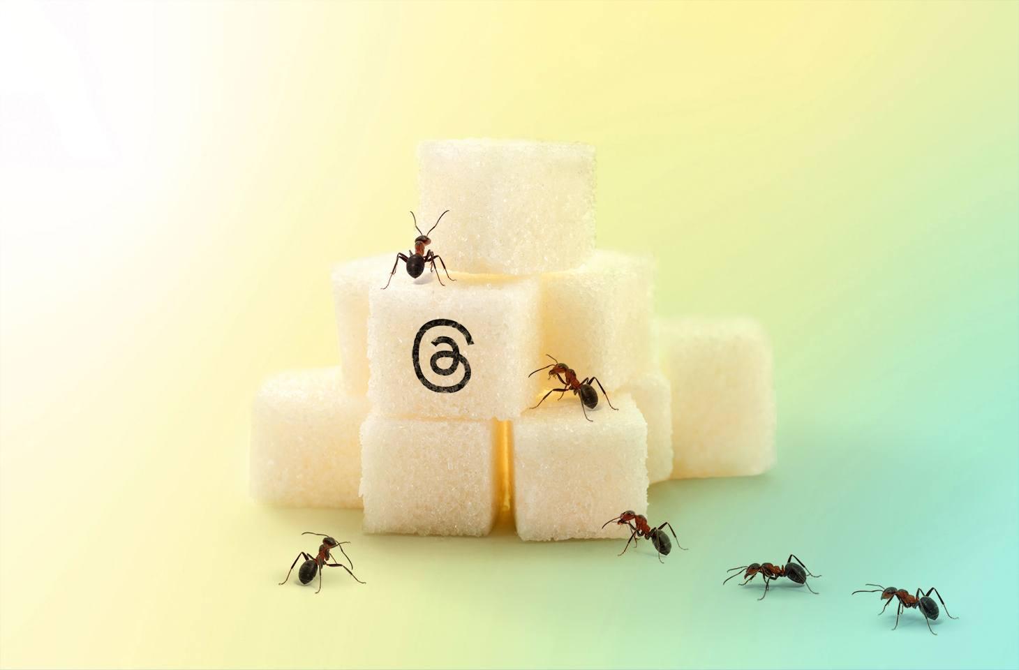 Tips Menggunakan Threads Agar Aman dari Scammers