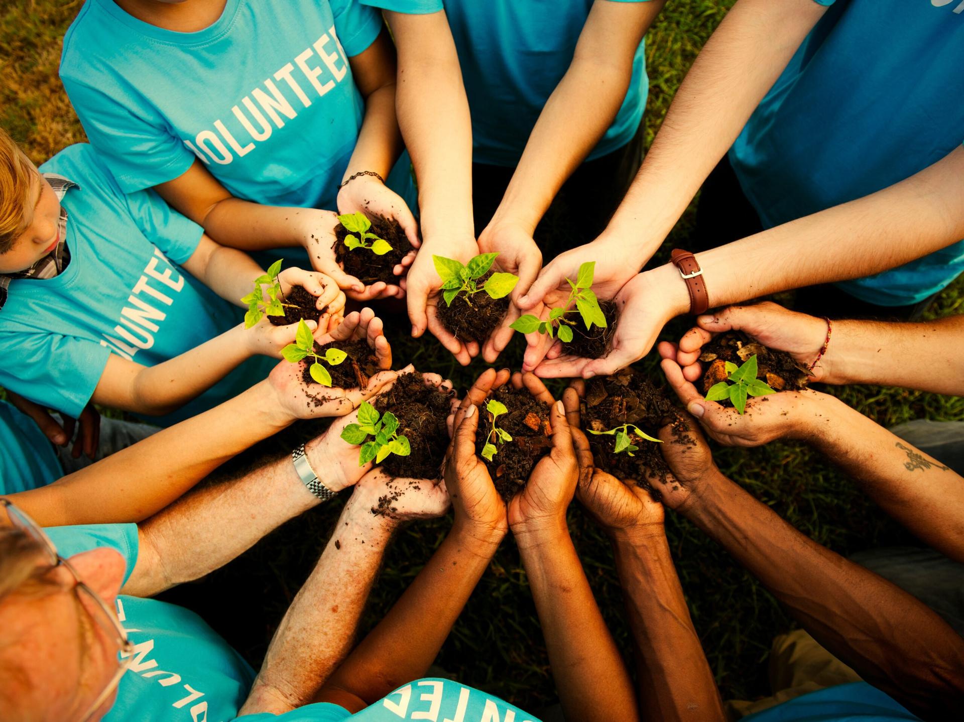 social business model canvas