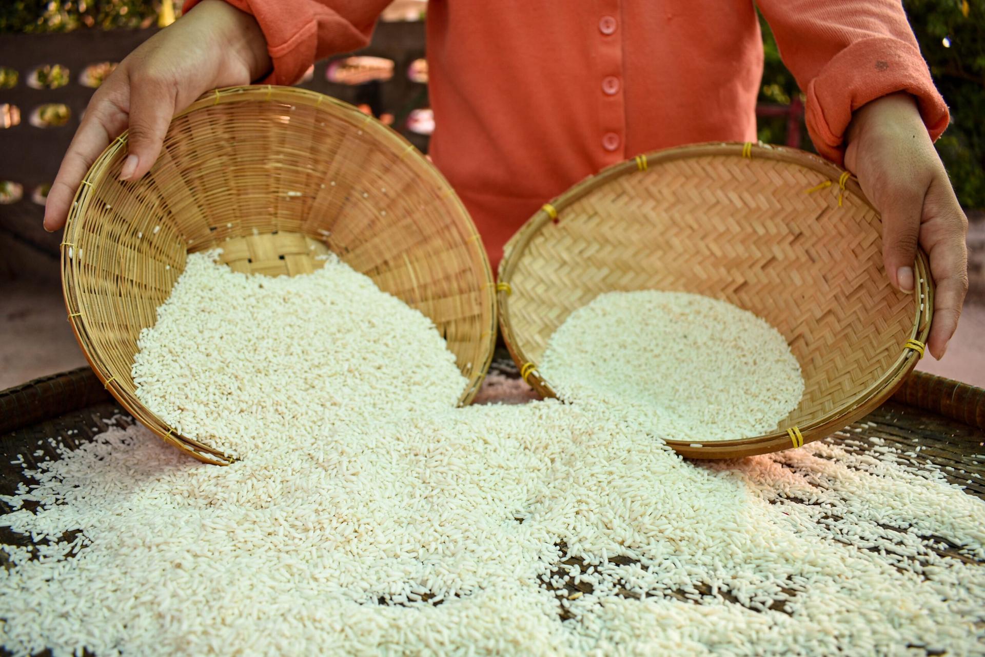 harga beras 11 agustus