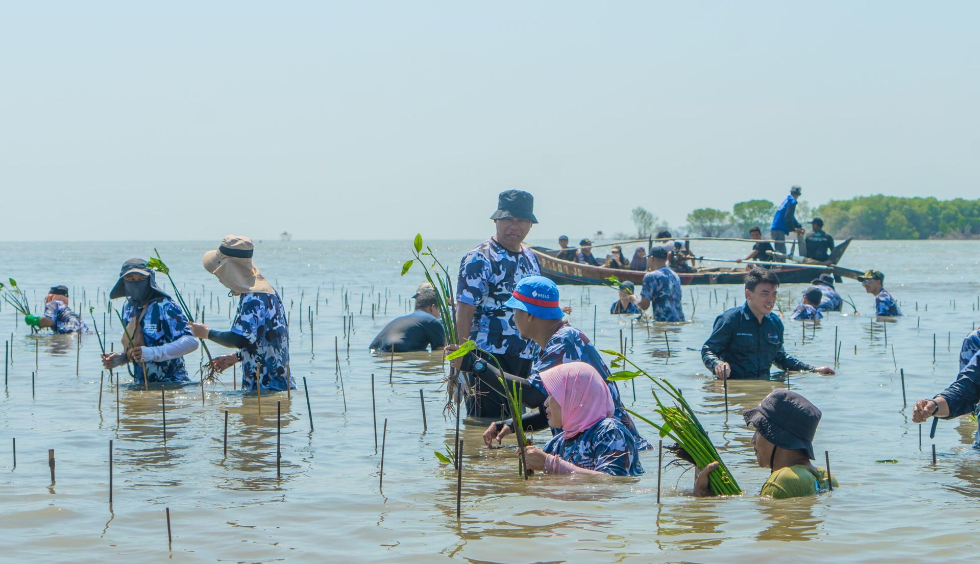 MSIG Kampanye Keberlanjutan