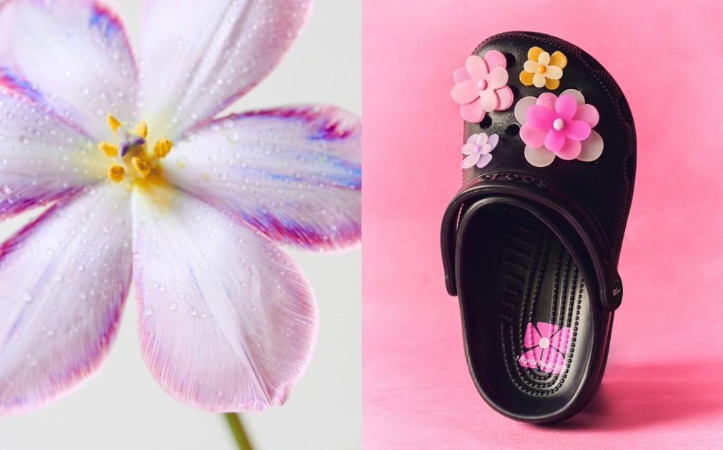 crocs mardi mercredi