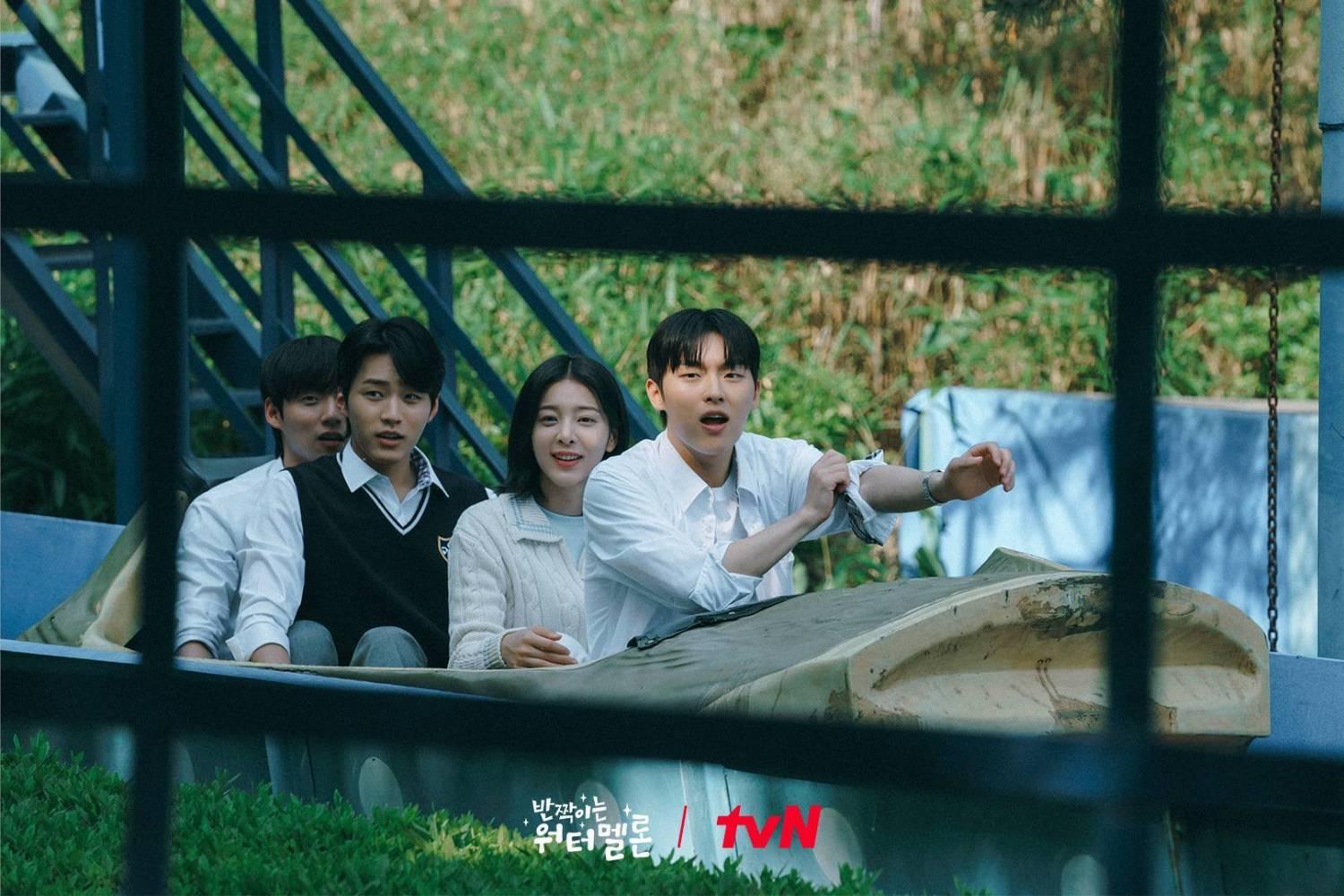 twinkling watermelon