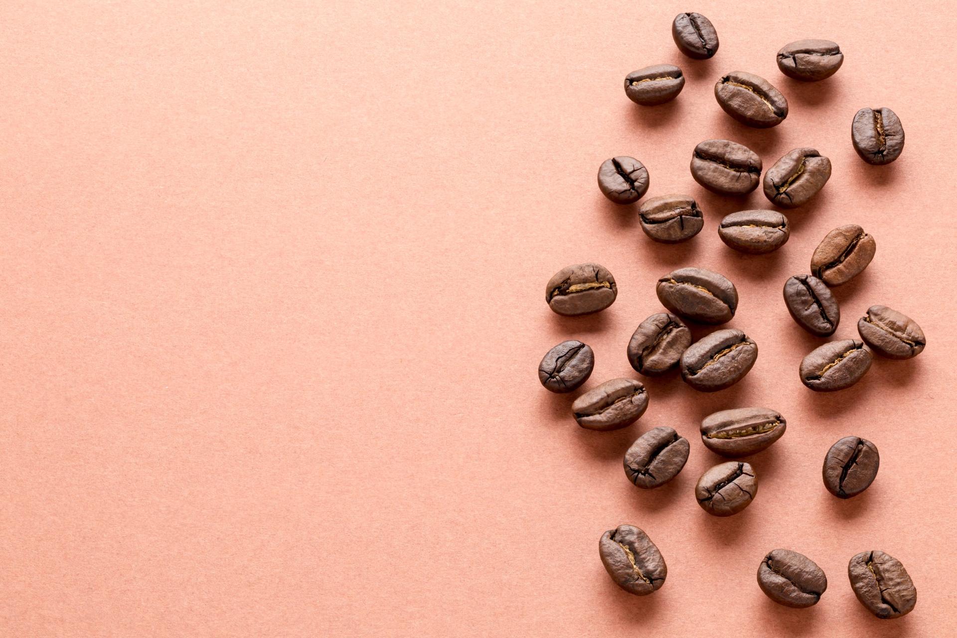 jenis kopi indonesia