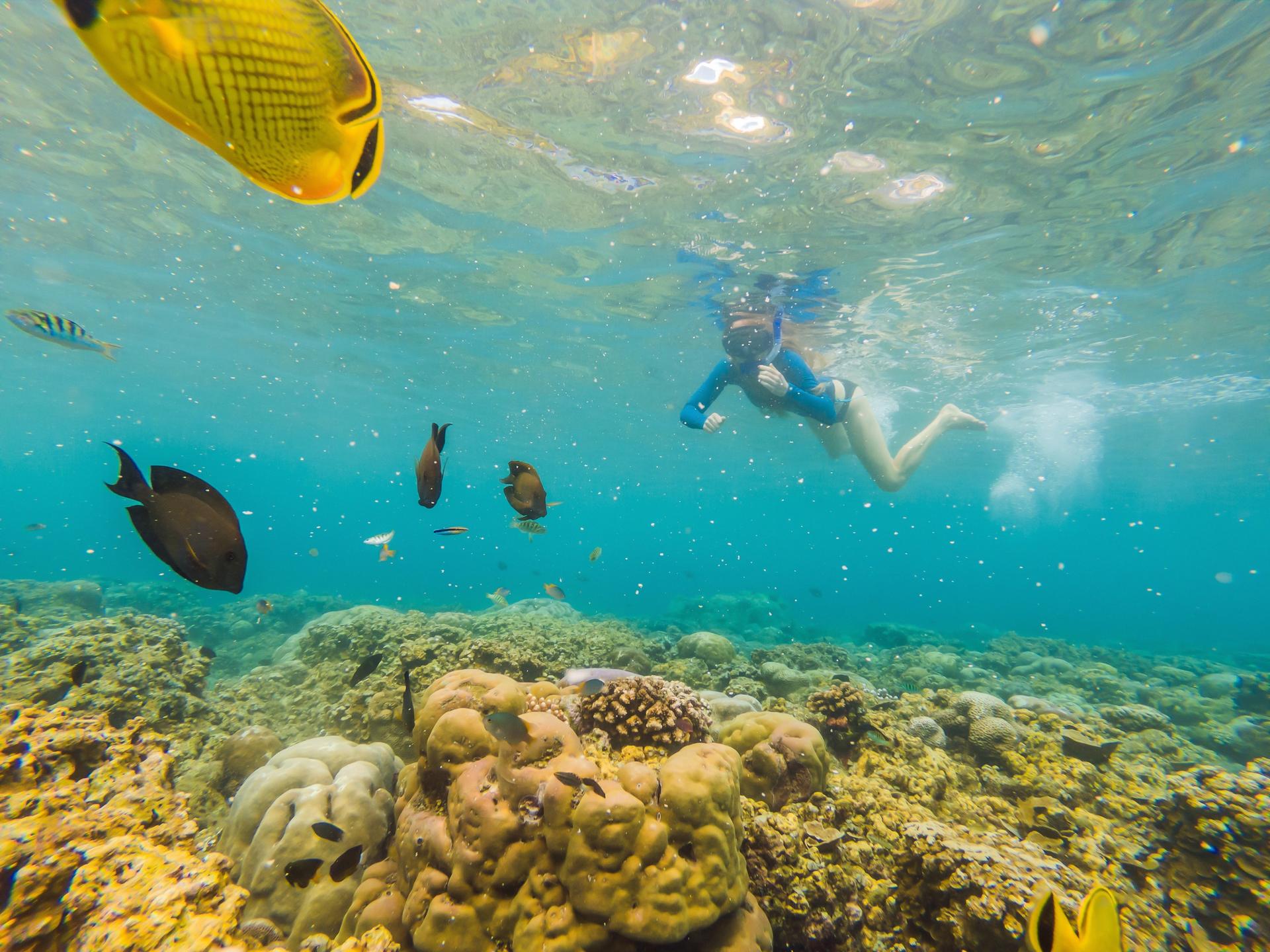 spot snorkeling Asia Tenggara