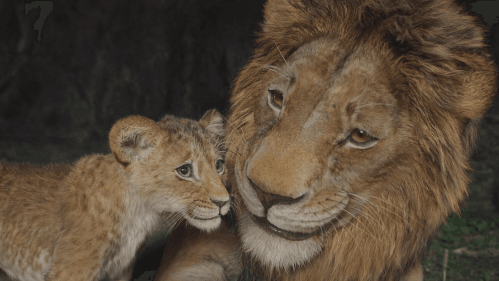 Mufasa The Lion King