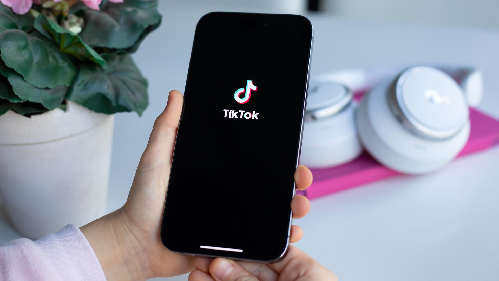 TikTok Ads