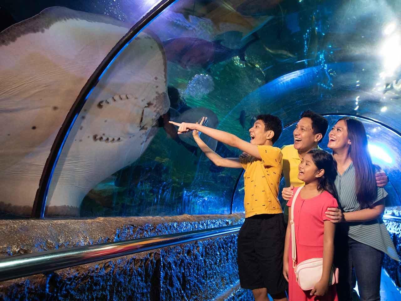 wisata akuarium jakarta