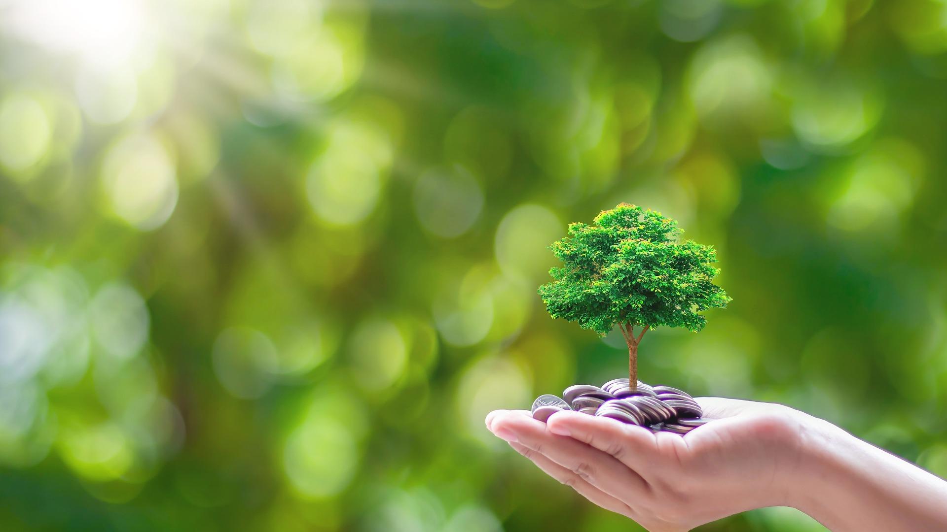 Tren Fesyen Ramah Lingkungan Tumbuh, Lenzing Bawa Ecovero ke Indonesia